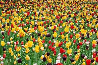 Steam 2023年最佳榜单公布 《博德之门3》等游戏最畅销